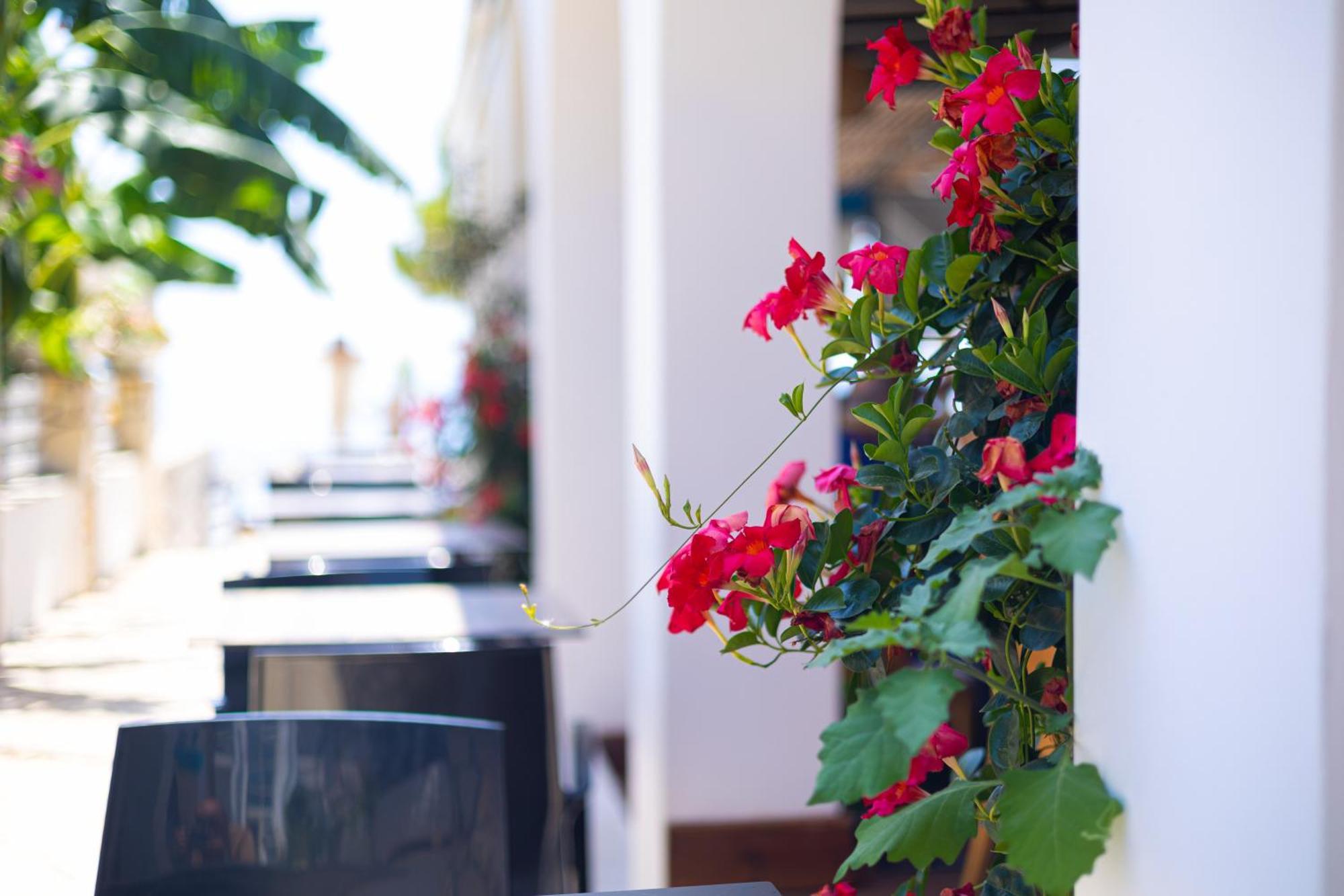 Royal Blue Hotel Dhërmi Екстериор снимка